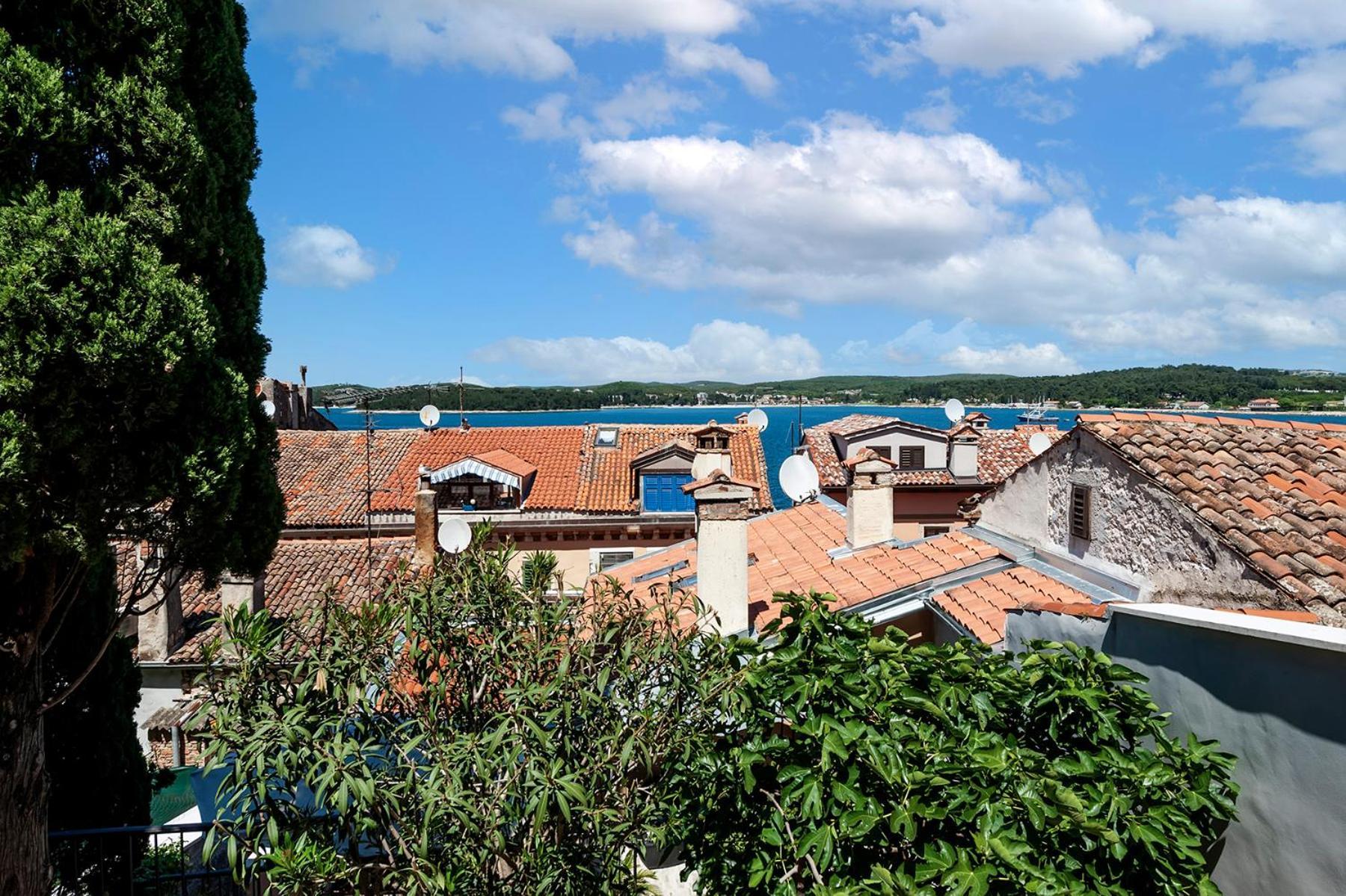 Luxury Villa Orh Rovinj Buitenkant foto
